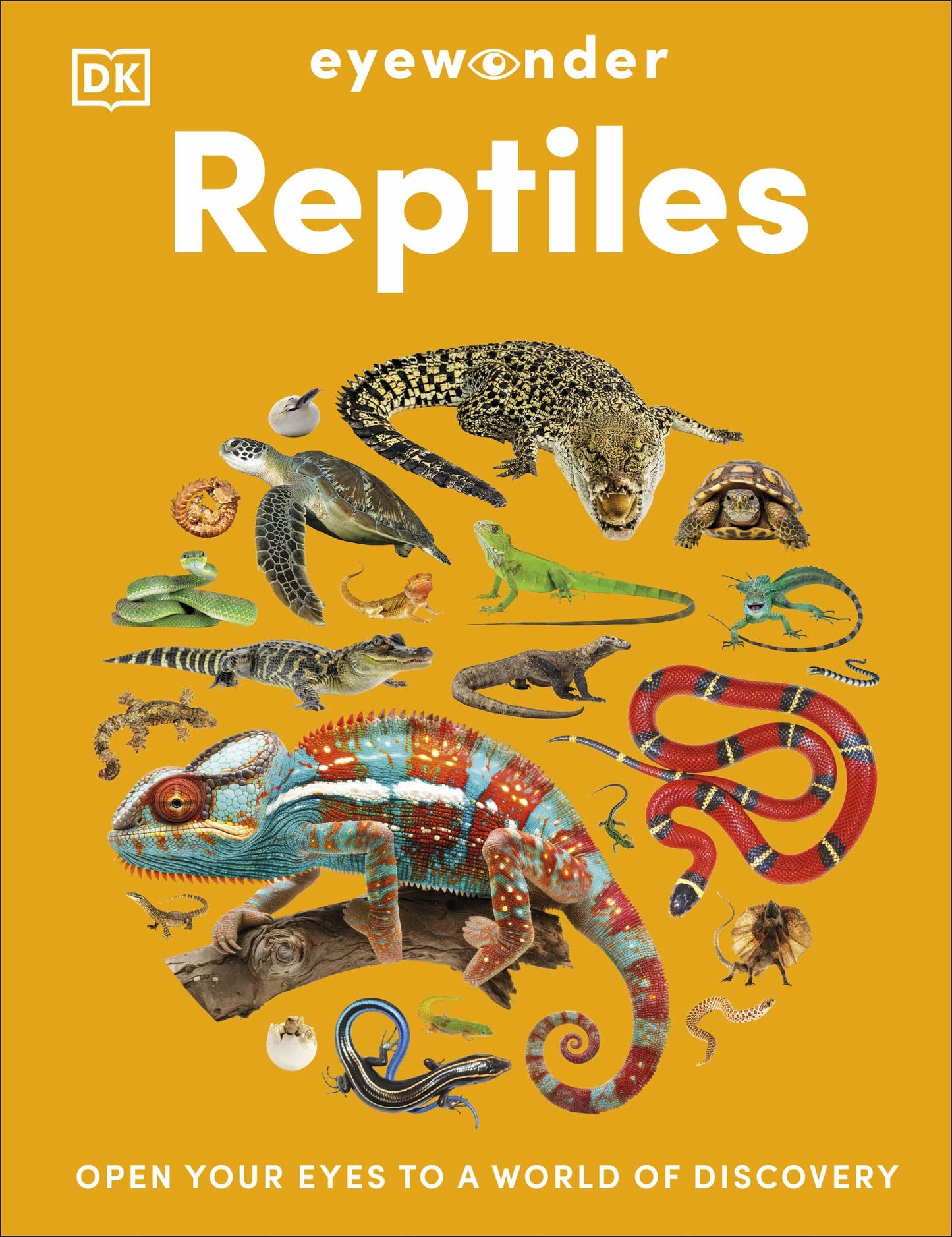 Eyewonder Reptiles Cover Image