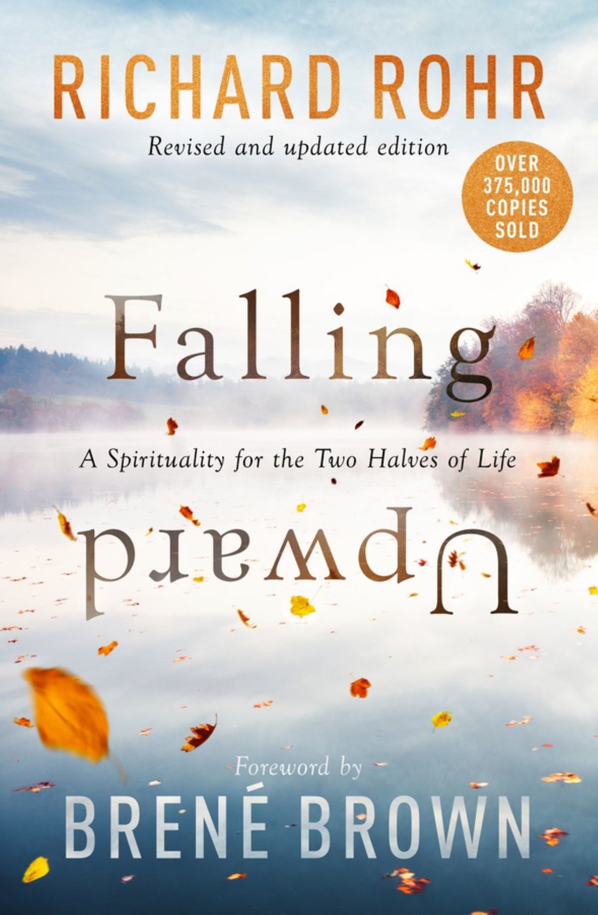 Falling Upward, Revised and Updated Cover Image
