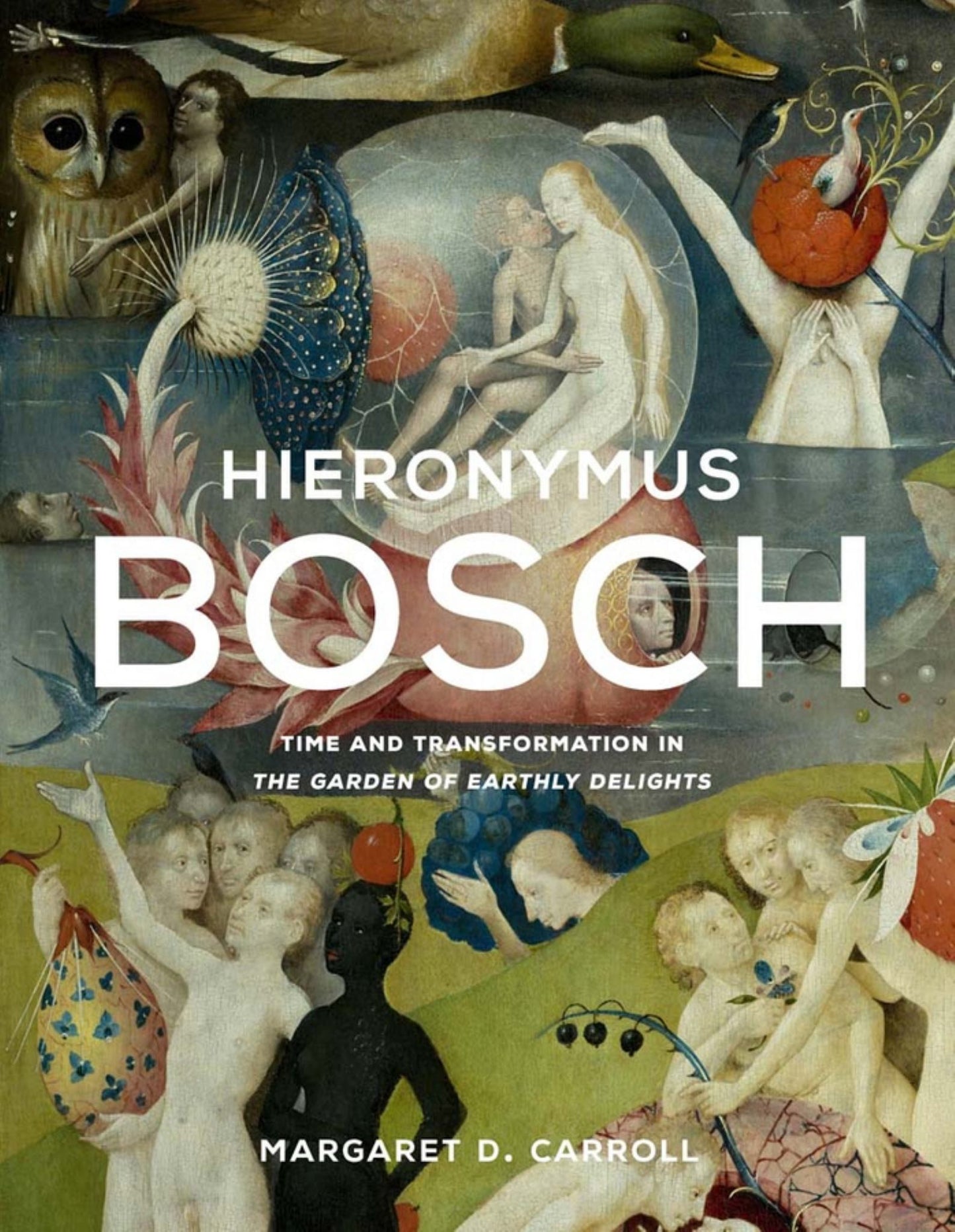 Hieronymus Bosch Cover Image