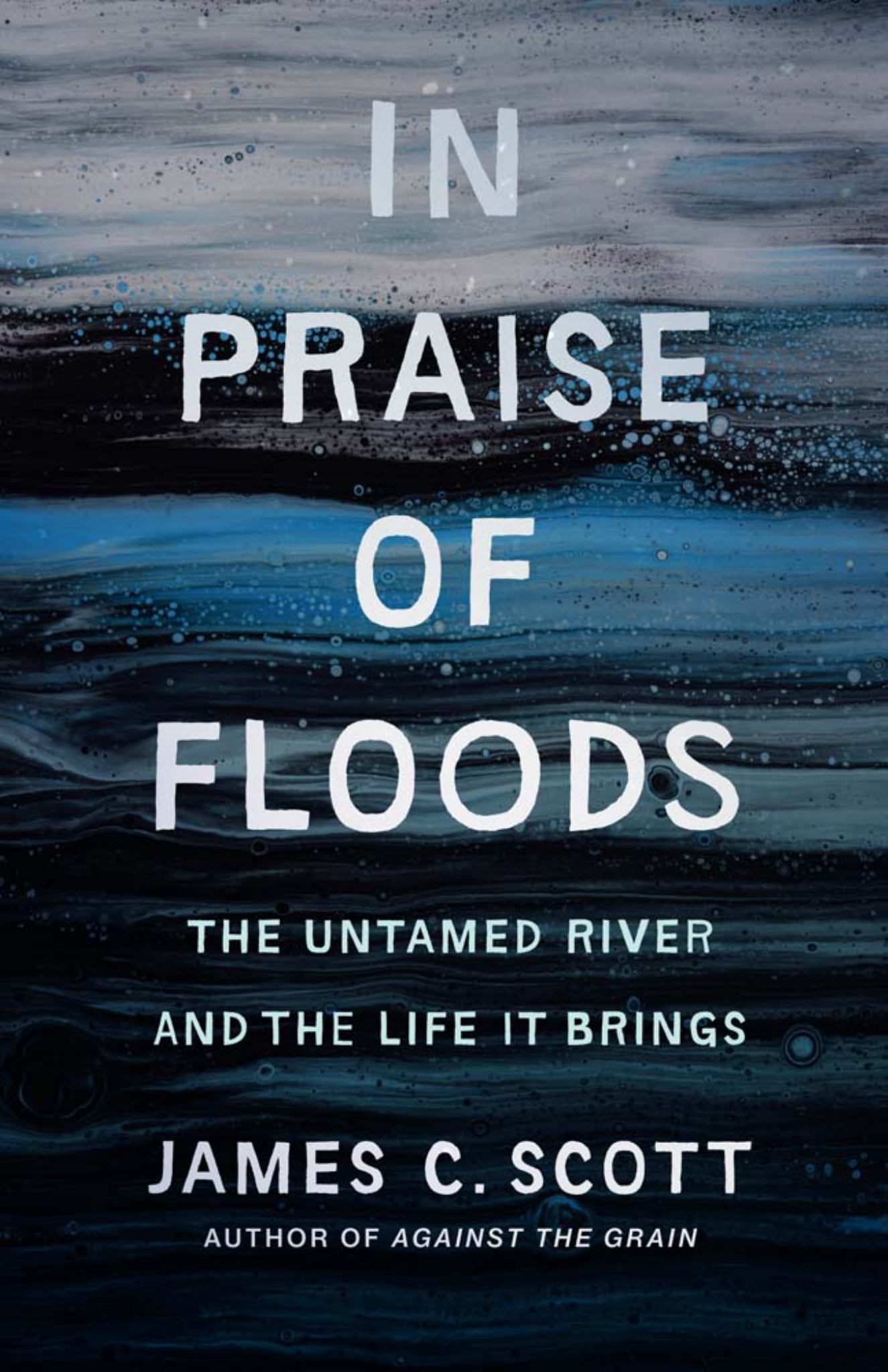 In Praise of Floods Cover Image