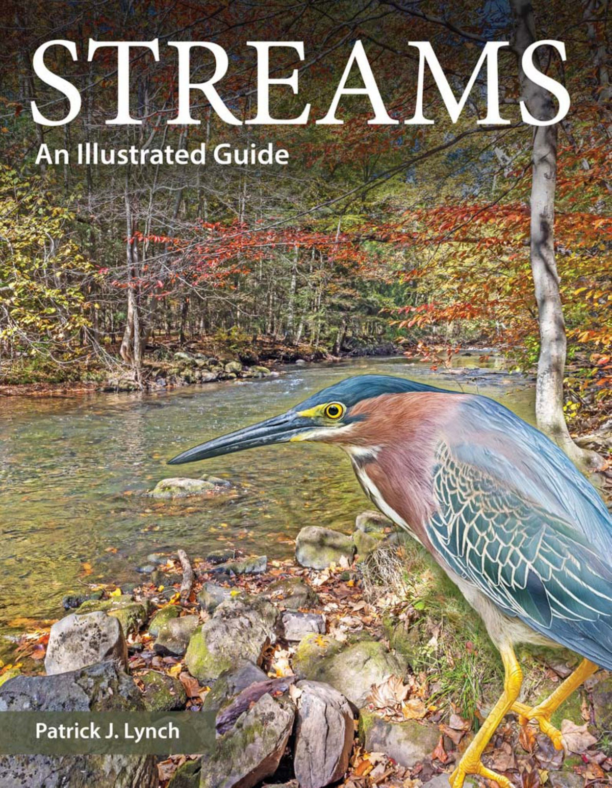 Streams Cover Image
