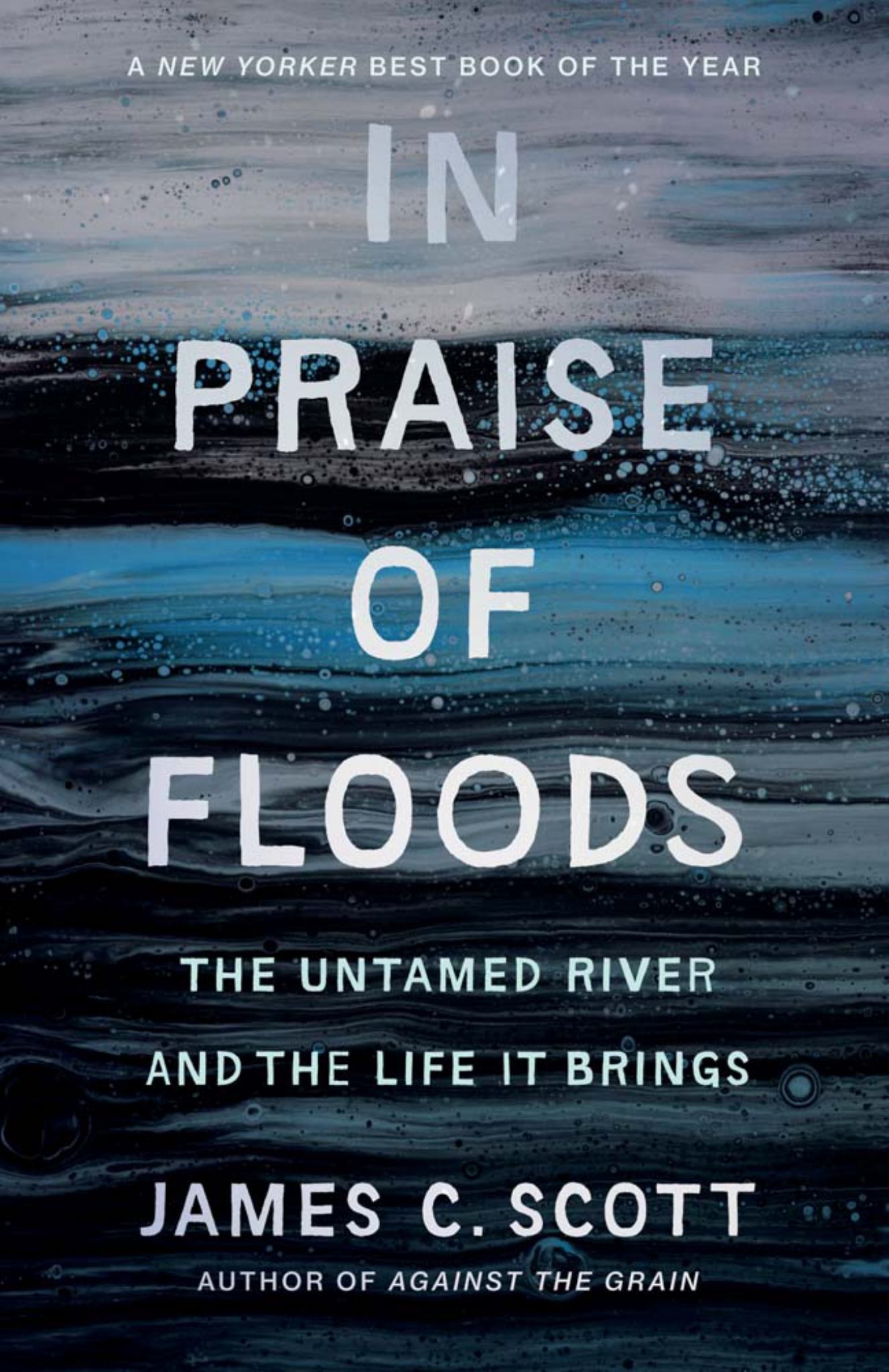 In Praise of Floods Cover Image