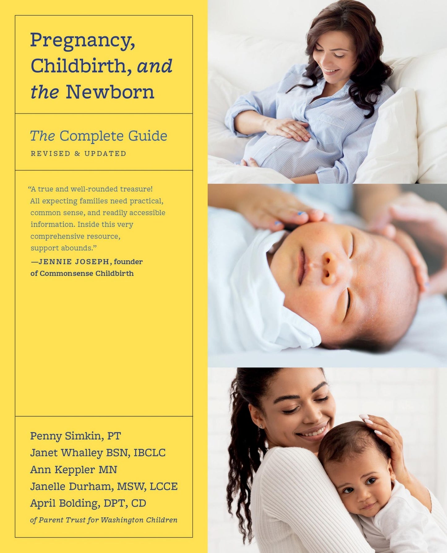 Pregnancy, Childbirth, and the Newborn Cover Image