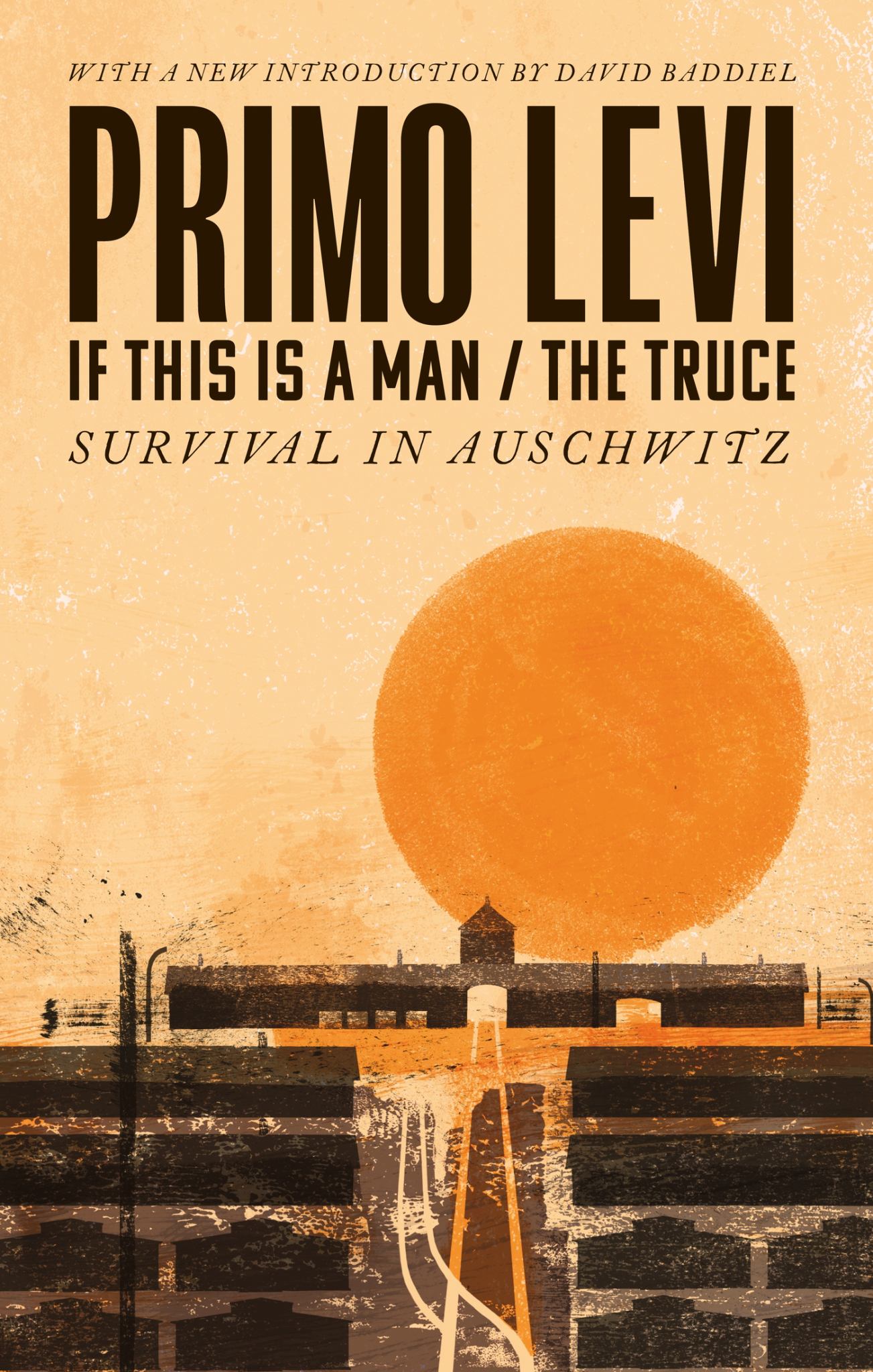 If This Is a Man/the Truce (50th Anniversary Edition): Surviving Auschwitz Cover Image