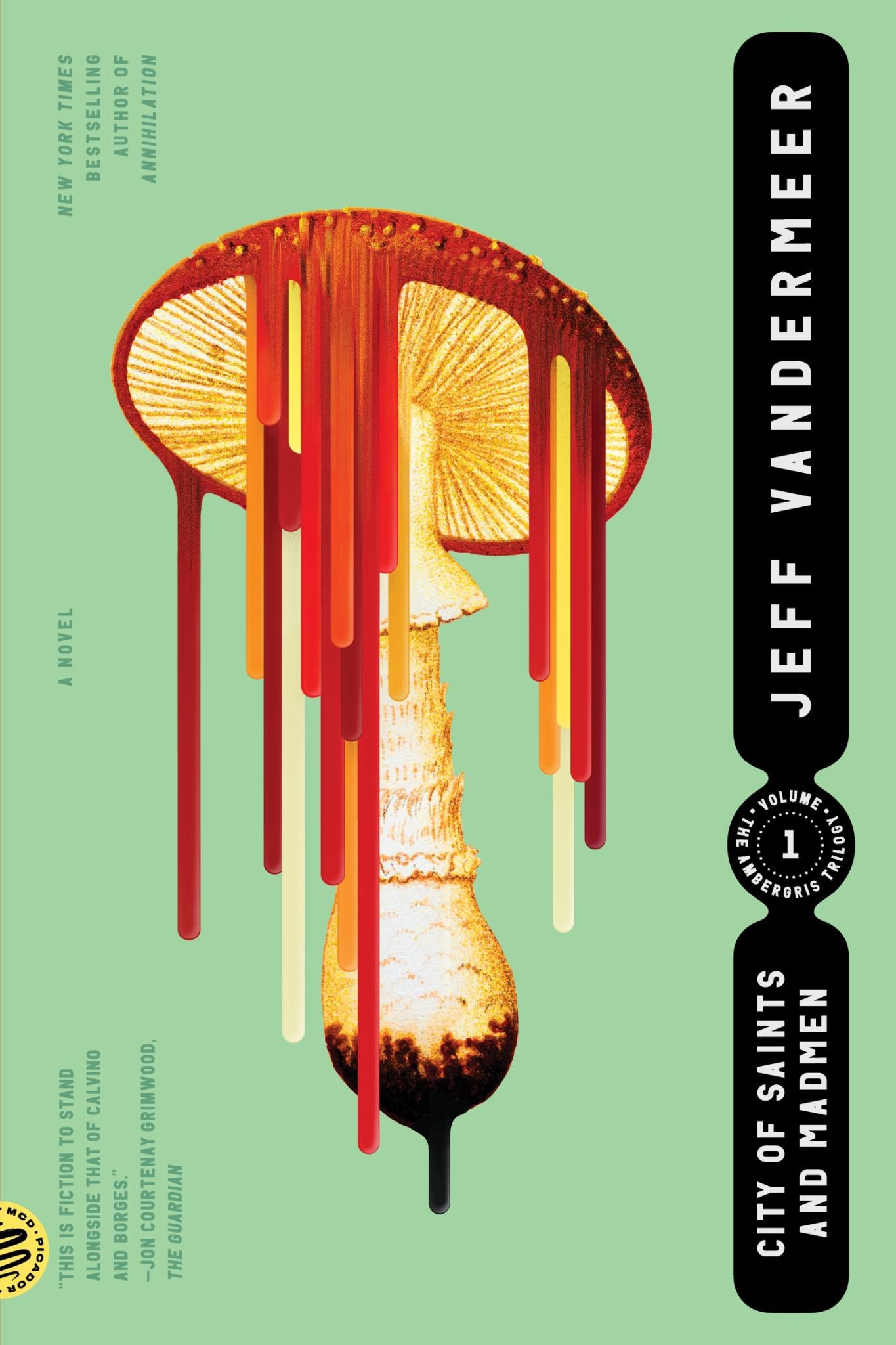 City of Saints and Madmen Cover Image