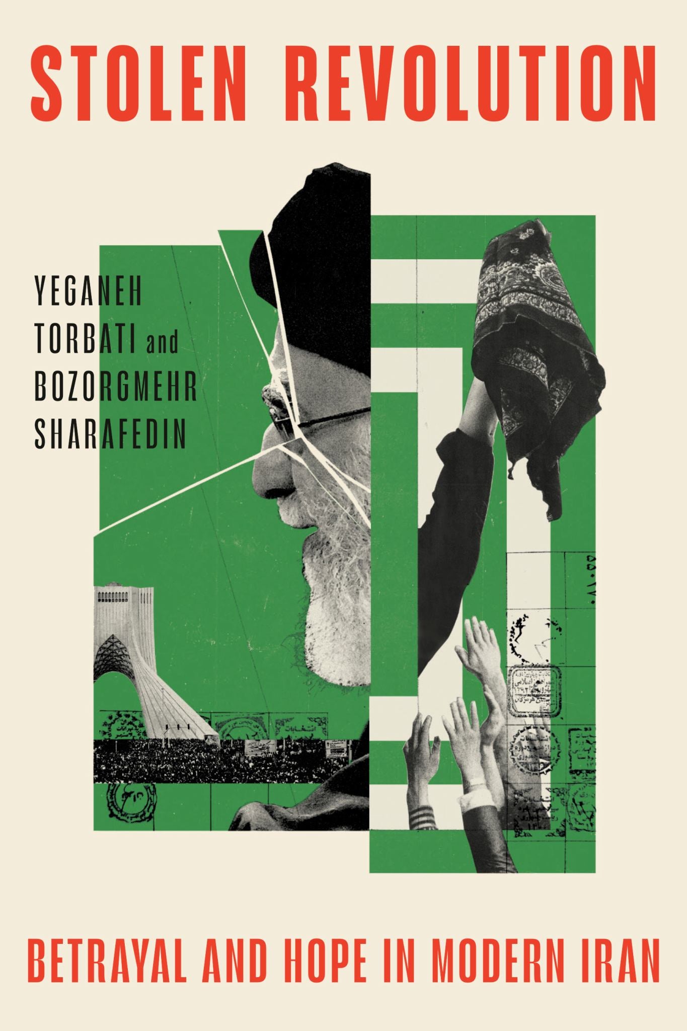 Stolen Revolution Cover Image
