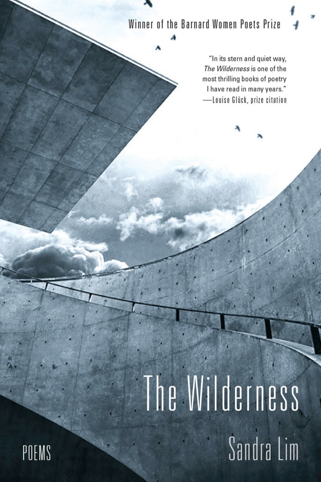 The Wilderness Cover Image