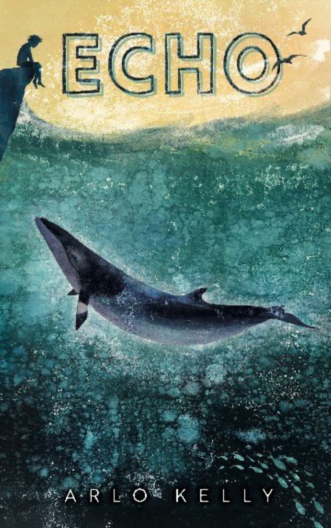 Echo Cover Image