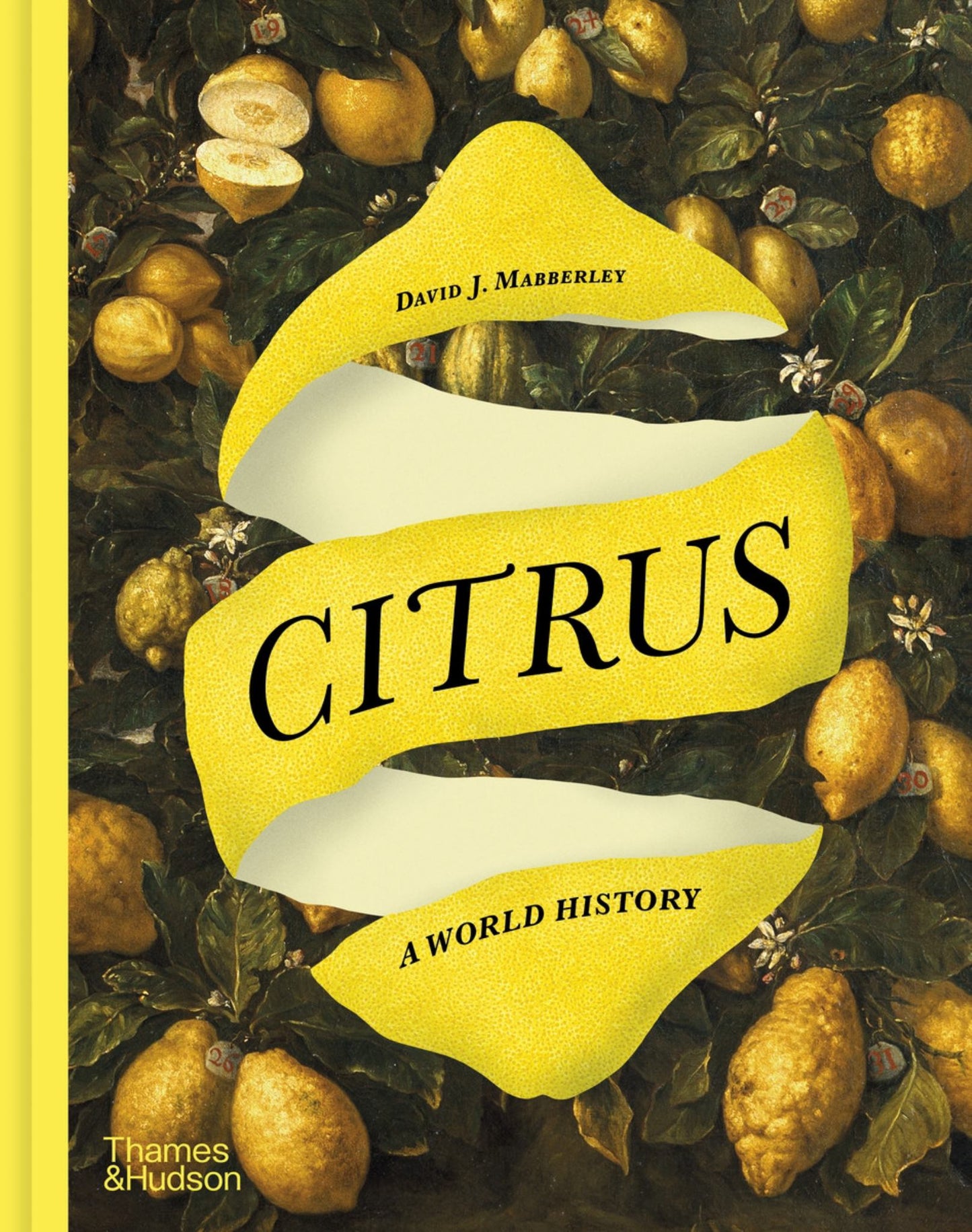 Citrus Cover Image