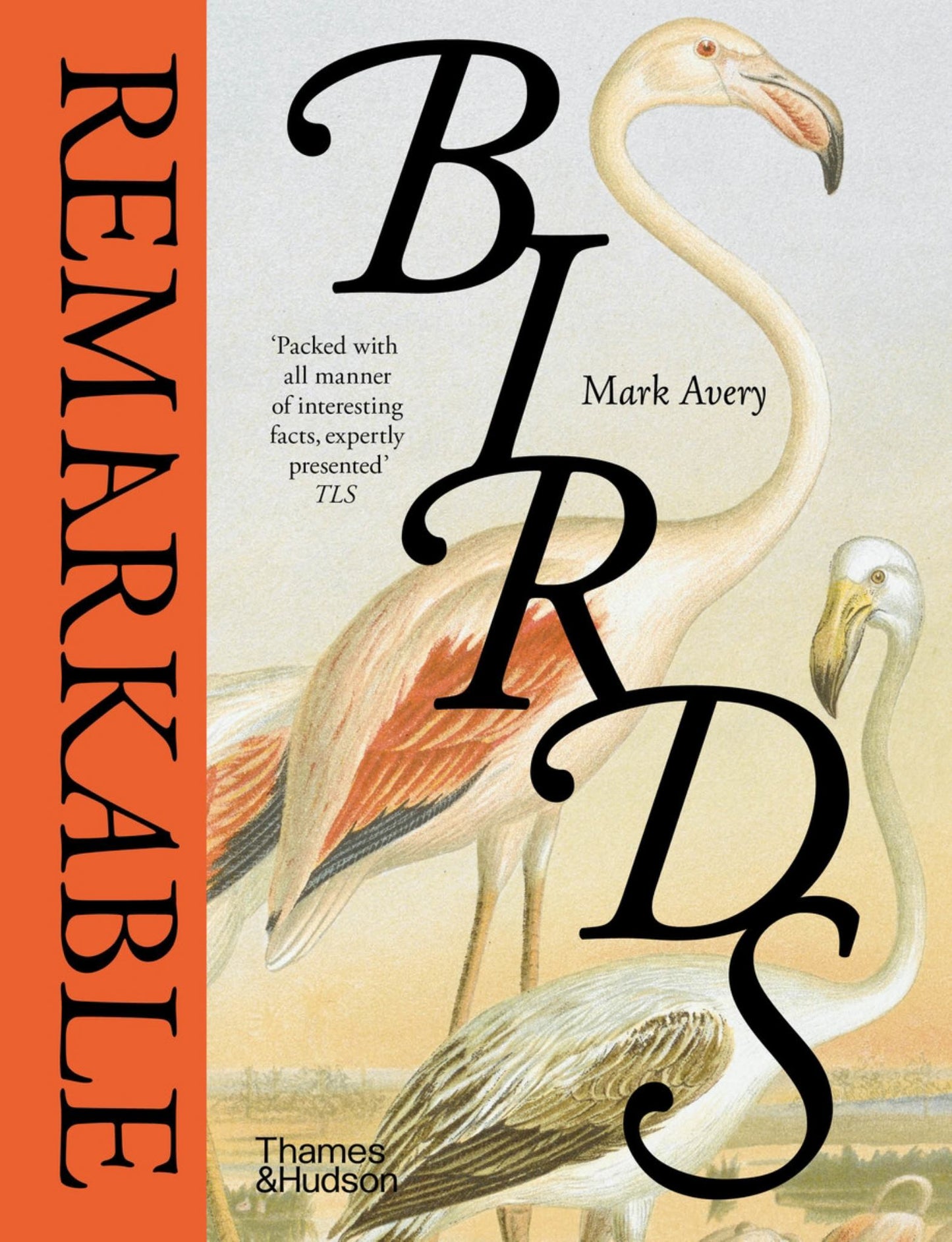 Remarkable Birds Cover Image