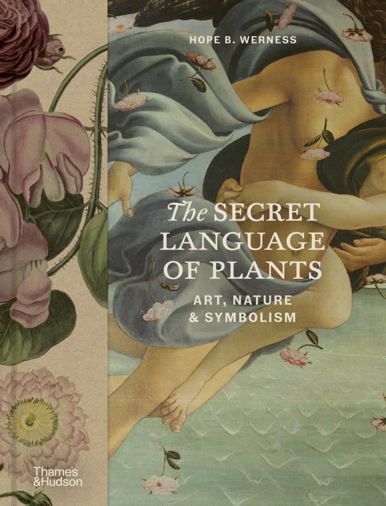 The Secret Language of Plants Cover Image