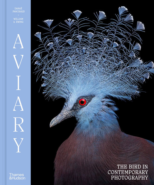 Aviary Cover Image