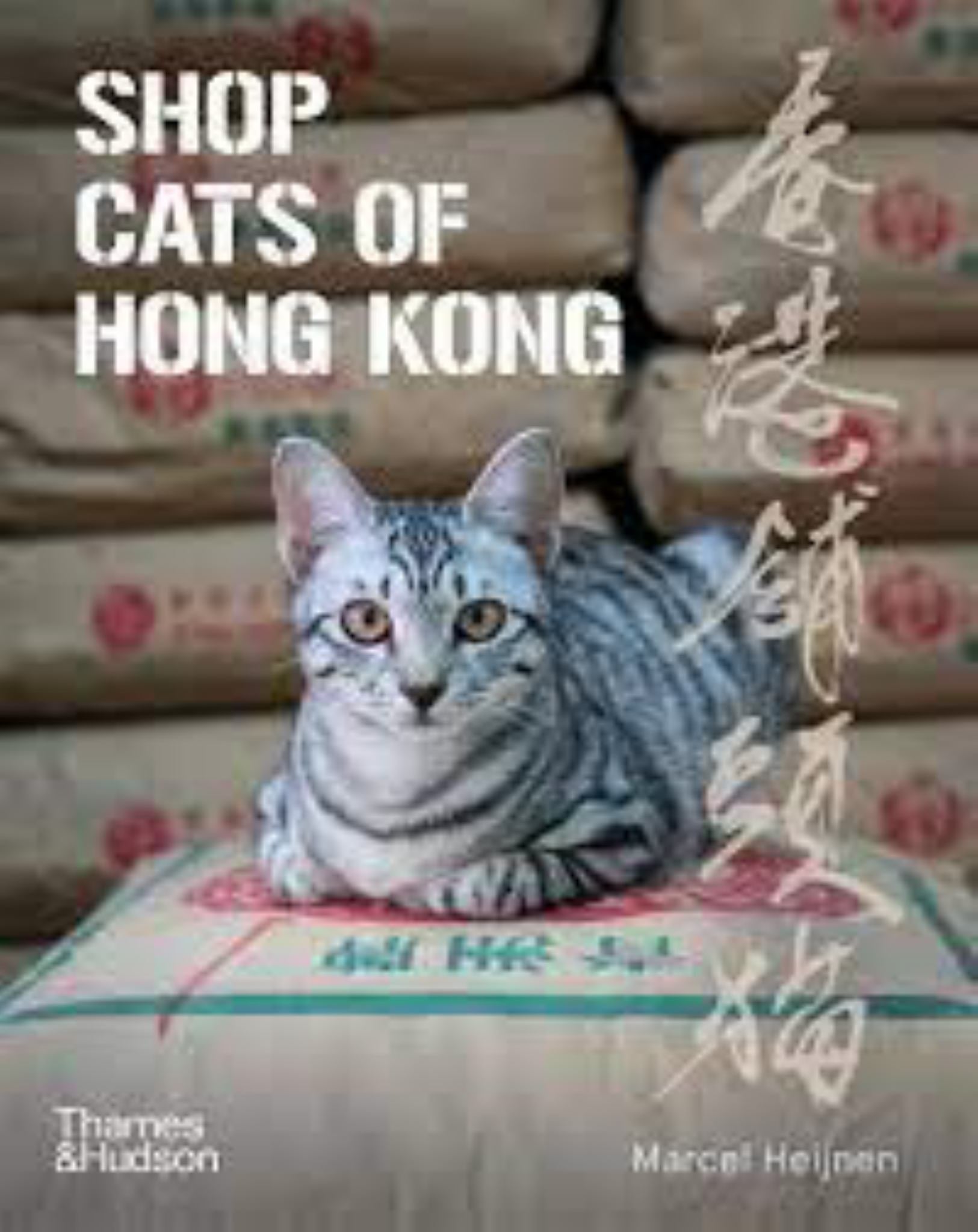 Shop Cats of Hong Kong Cover Image
