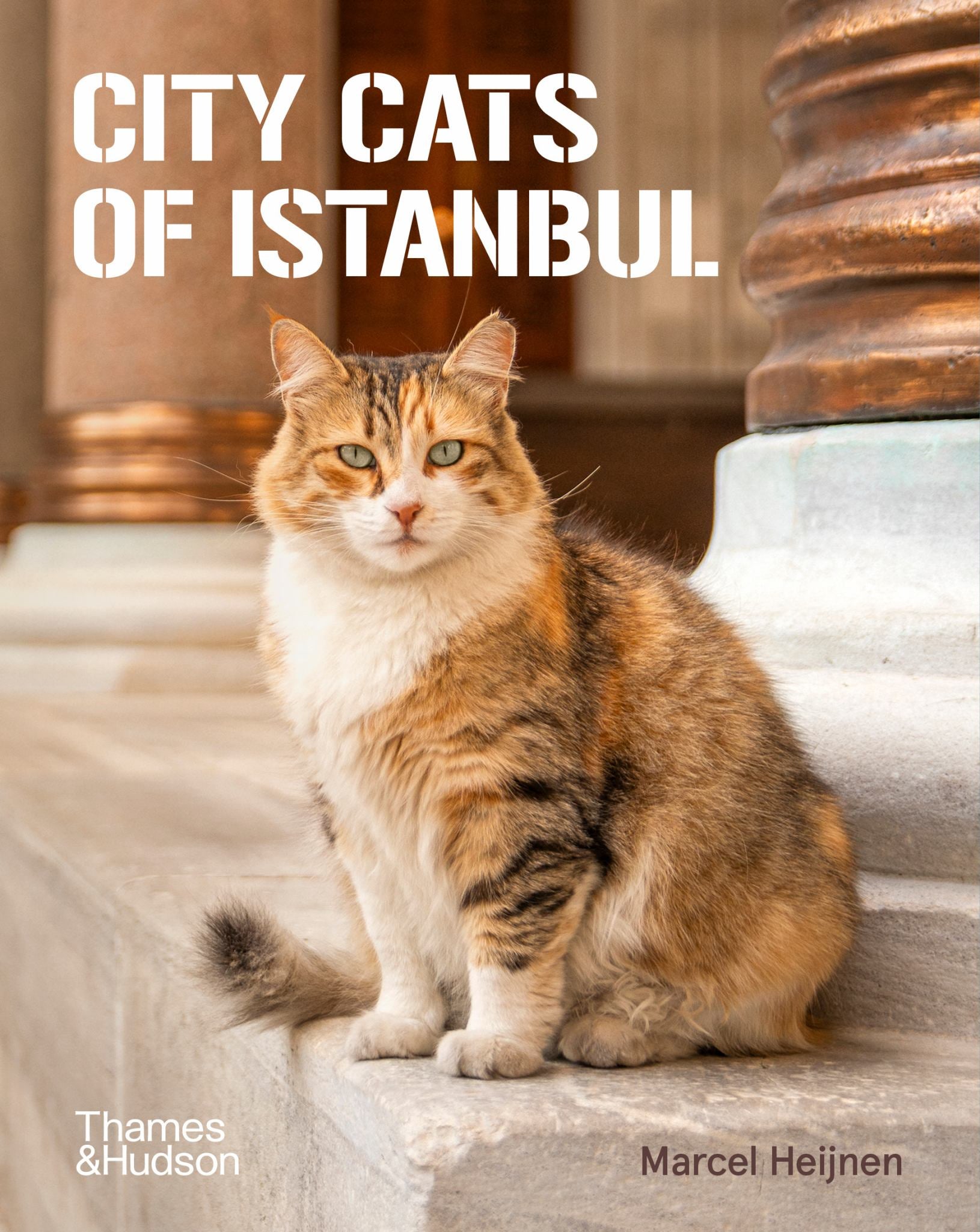 City Cats of Istanbul Cover Image