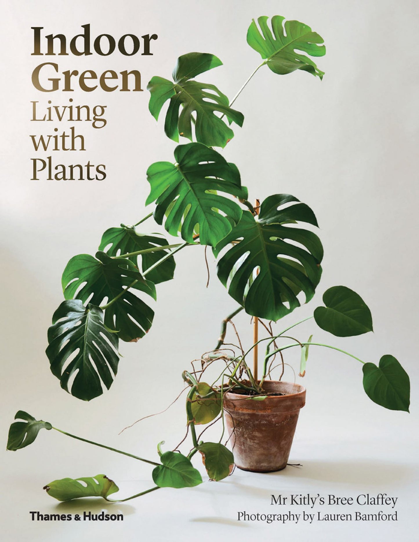 Indoor Green Cover Image