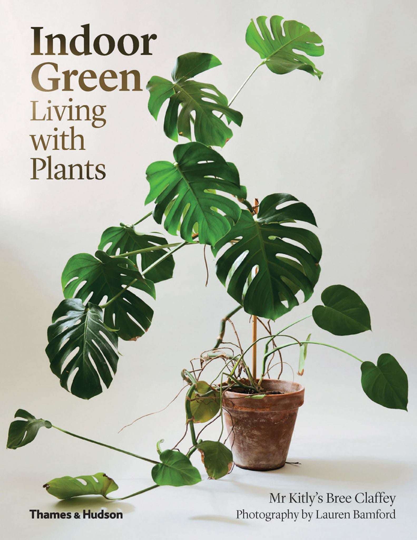 Indoor Green Cover Image