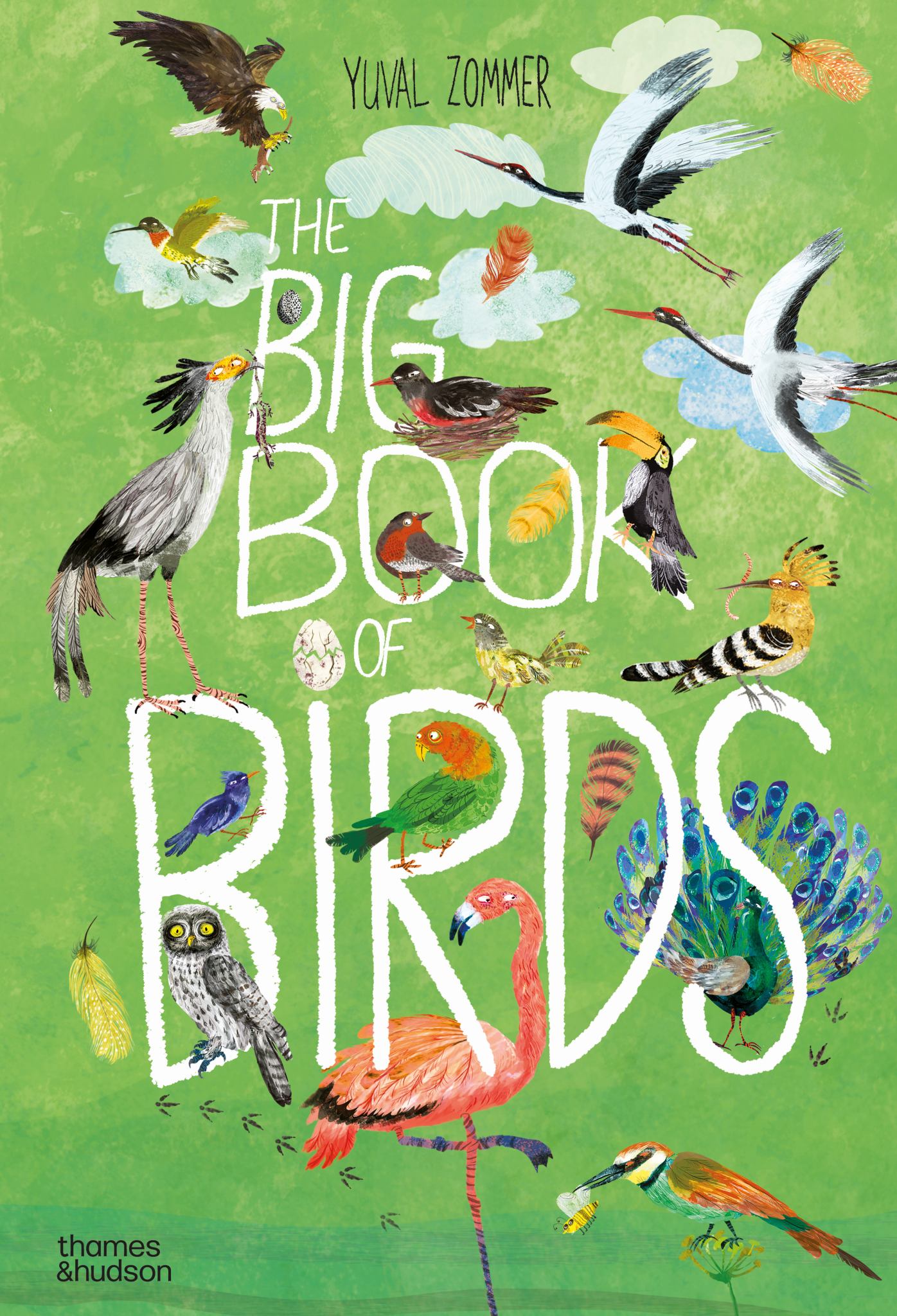 The Big Book of Birds Cover Image