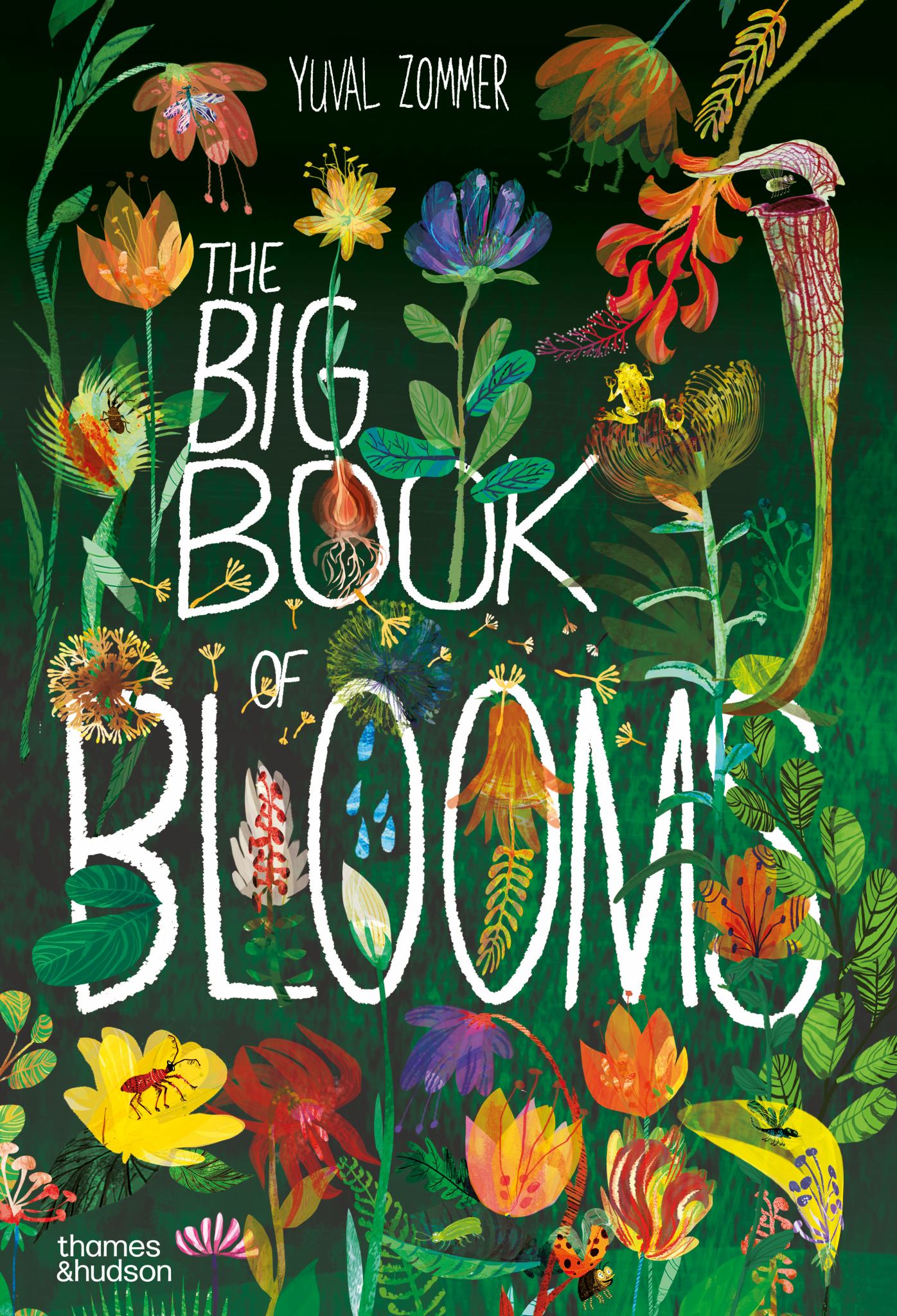 The Big Book of Blooms Cover Image