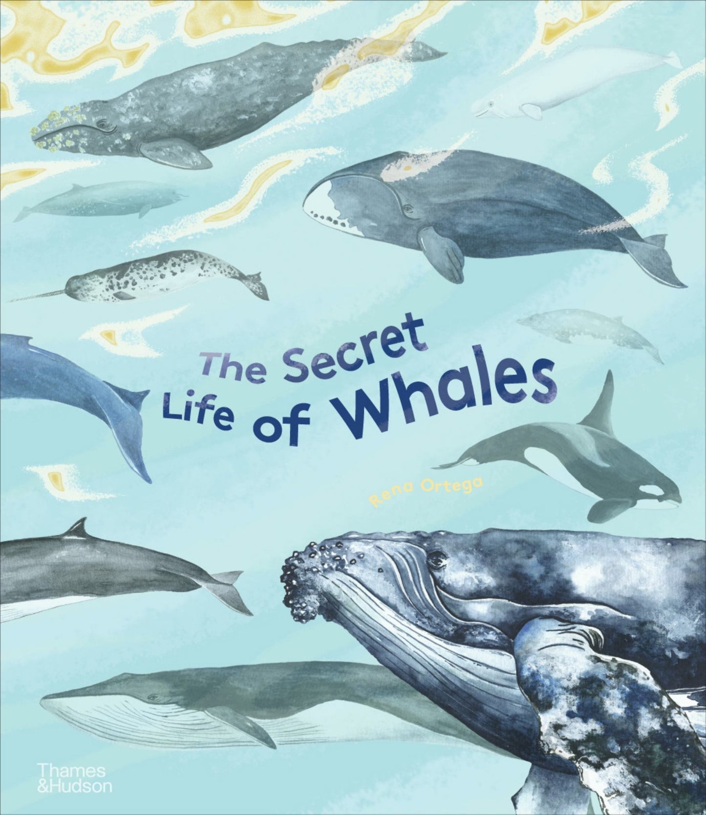 The Secret Life of Whales Cover Image