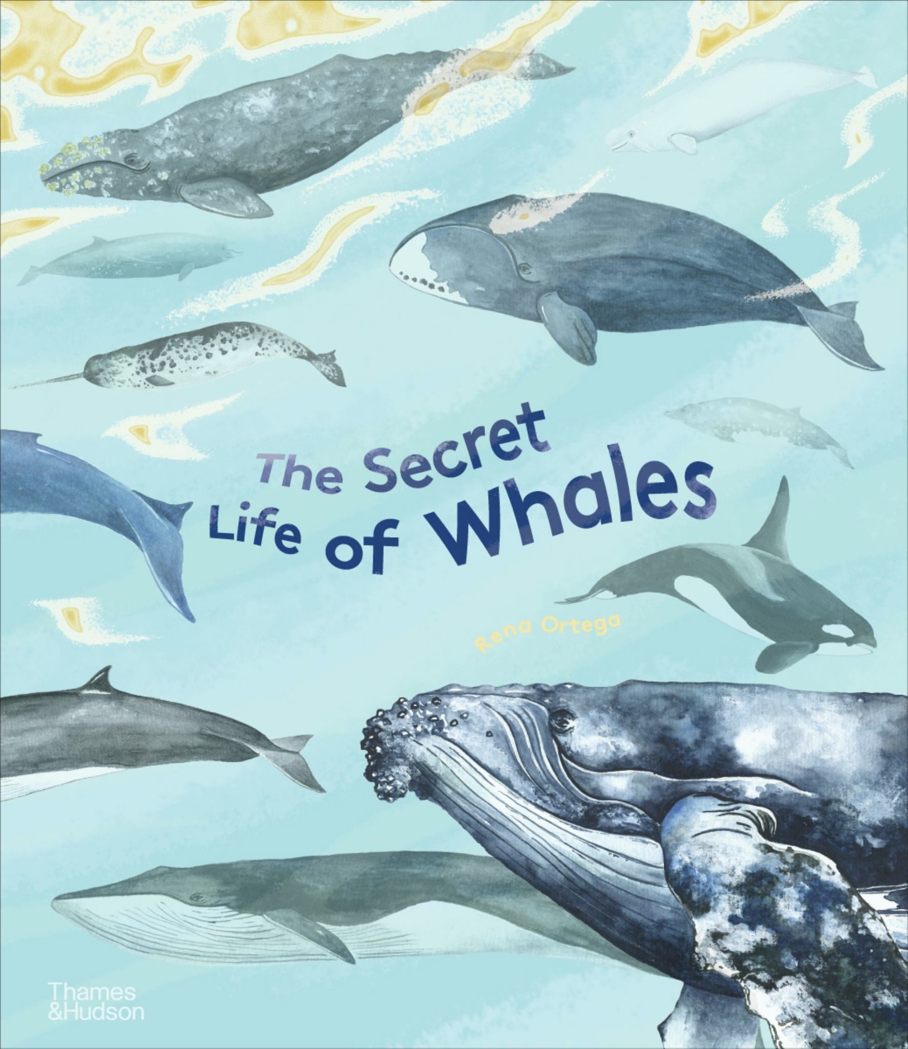 The Secret Life of Whales Cover Image