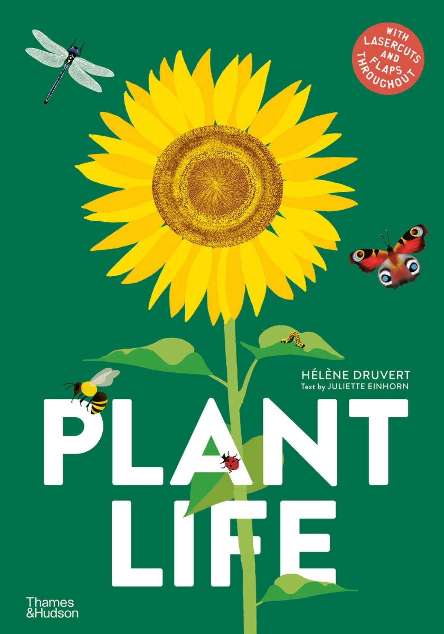 Plant Life Cover Image