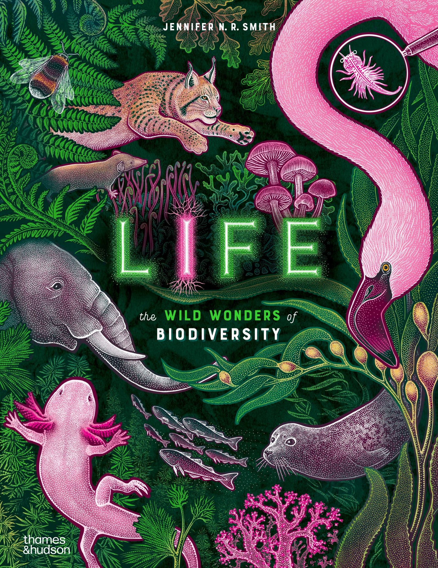 Life Cover Image