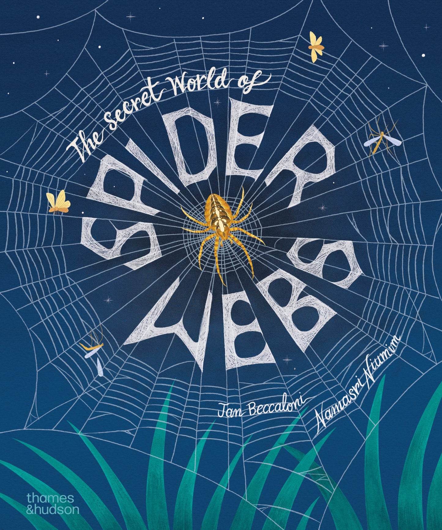 The Secret World of Spider Webs Cover Image