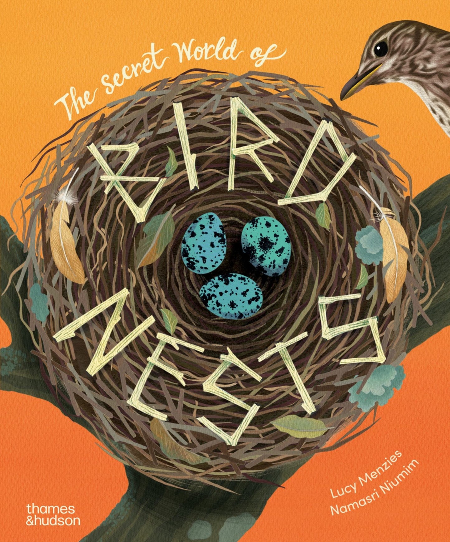 The Secret World of Bird Nests Cover Image
