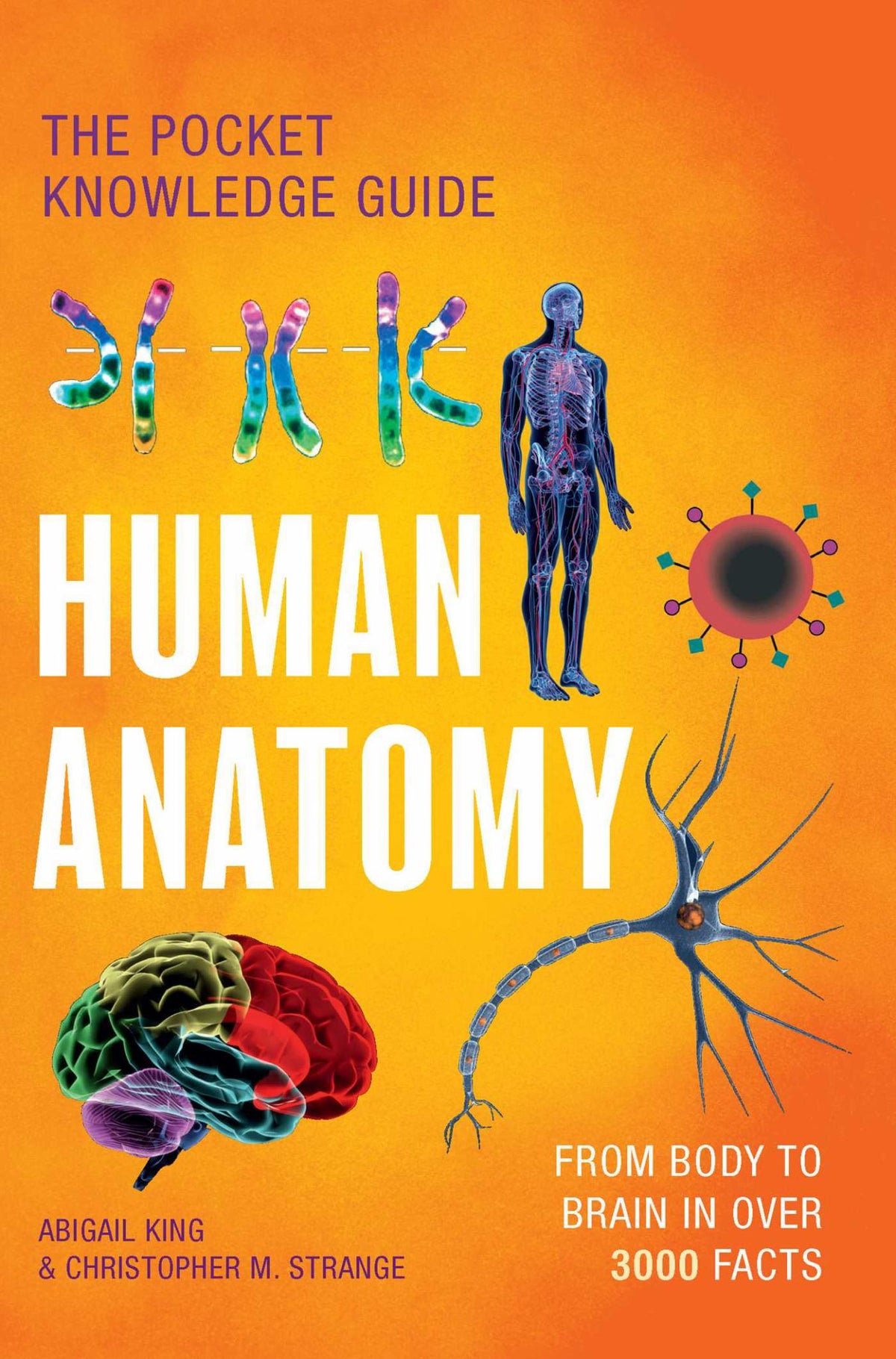 Human Anatomy Cover Image