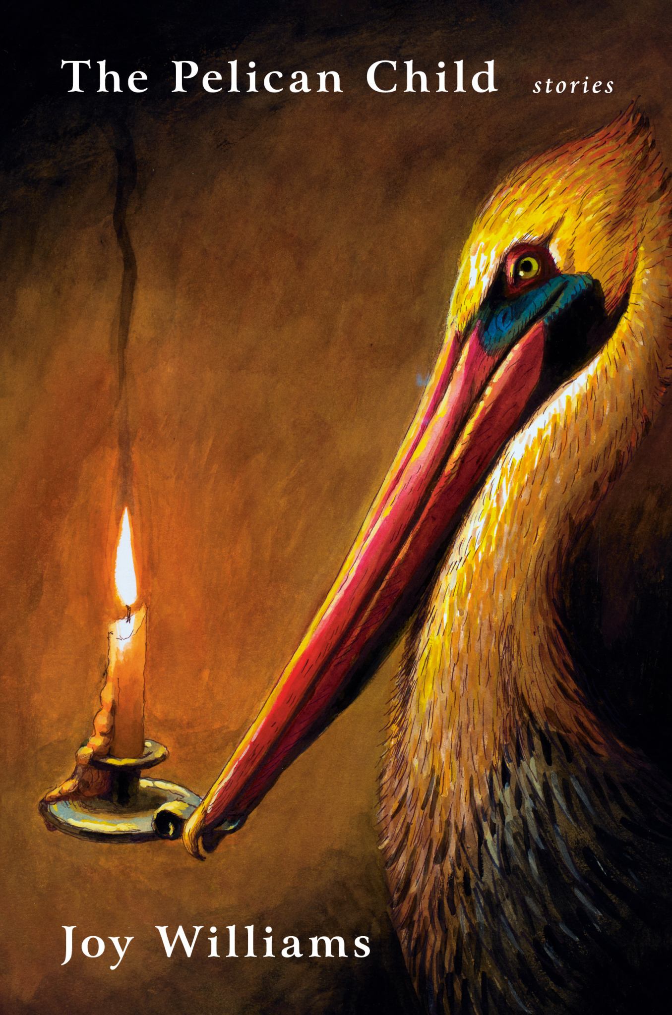 The Pelican Child Cover Image