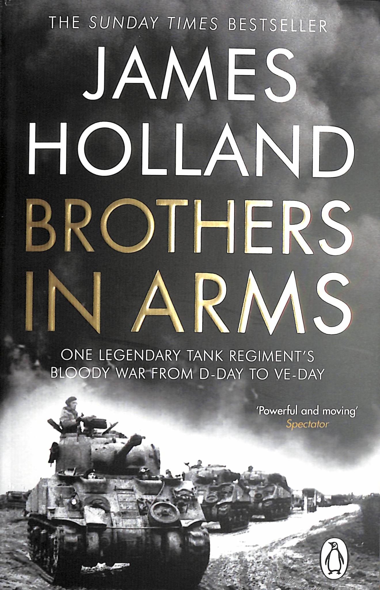 Brothers in Arms Cover Image