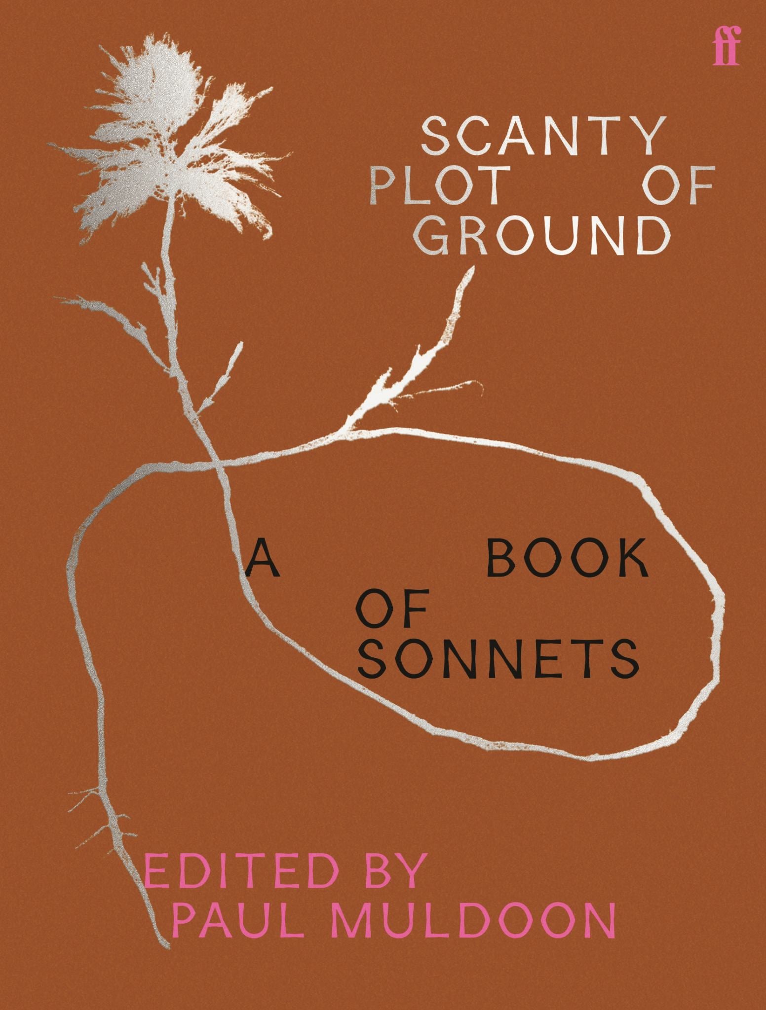 Scanty Plot of Ground Cover Image
