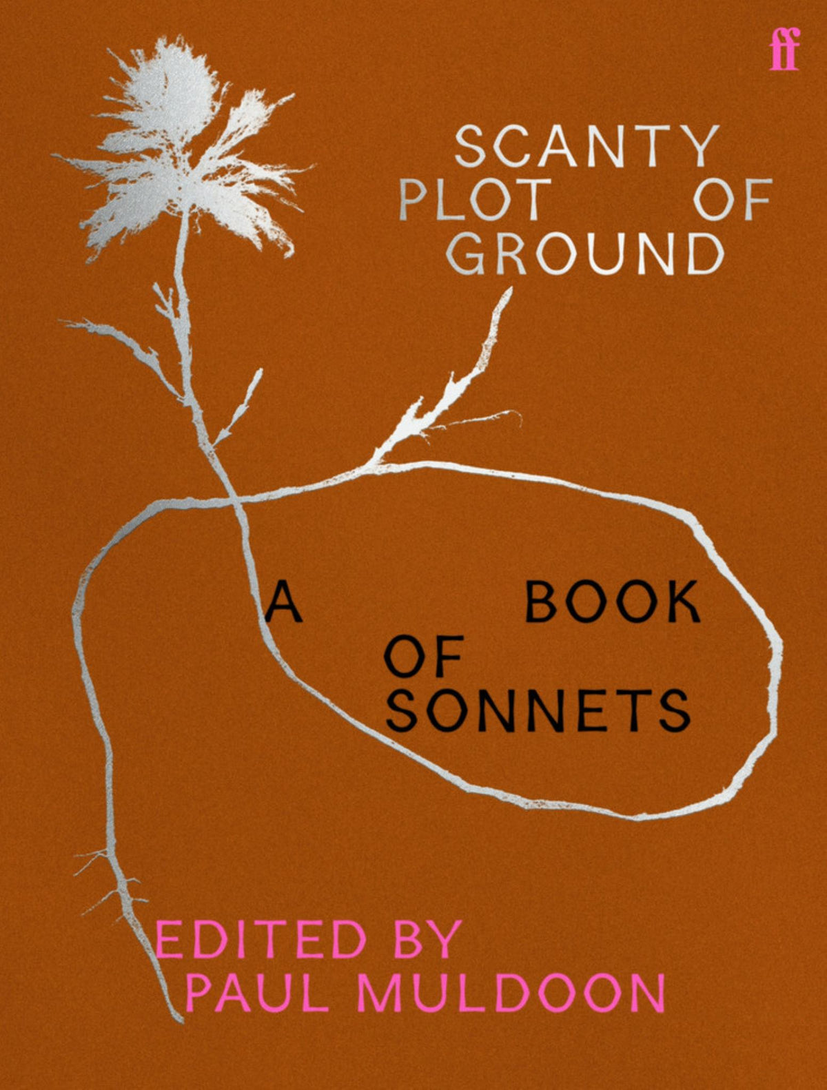 Scanty Plot of Ground Cover Image