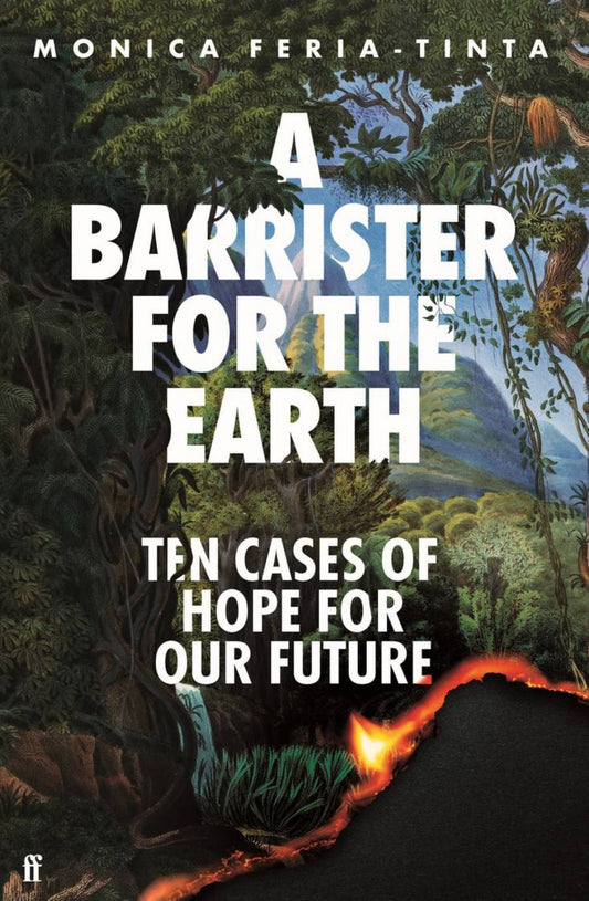 A Barrister for the Earth Cover Image