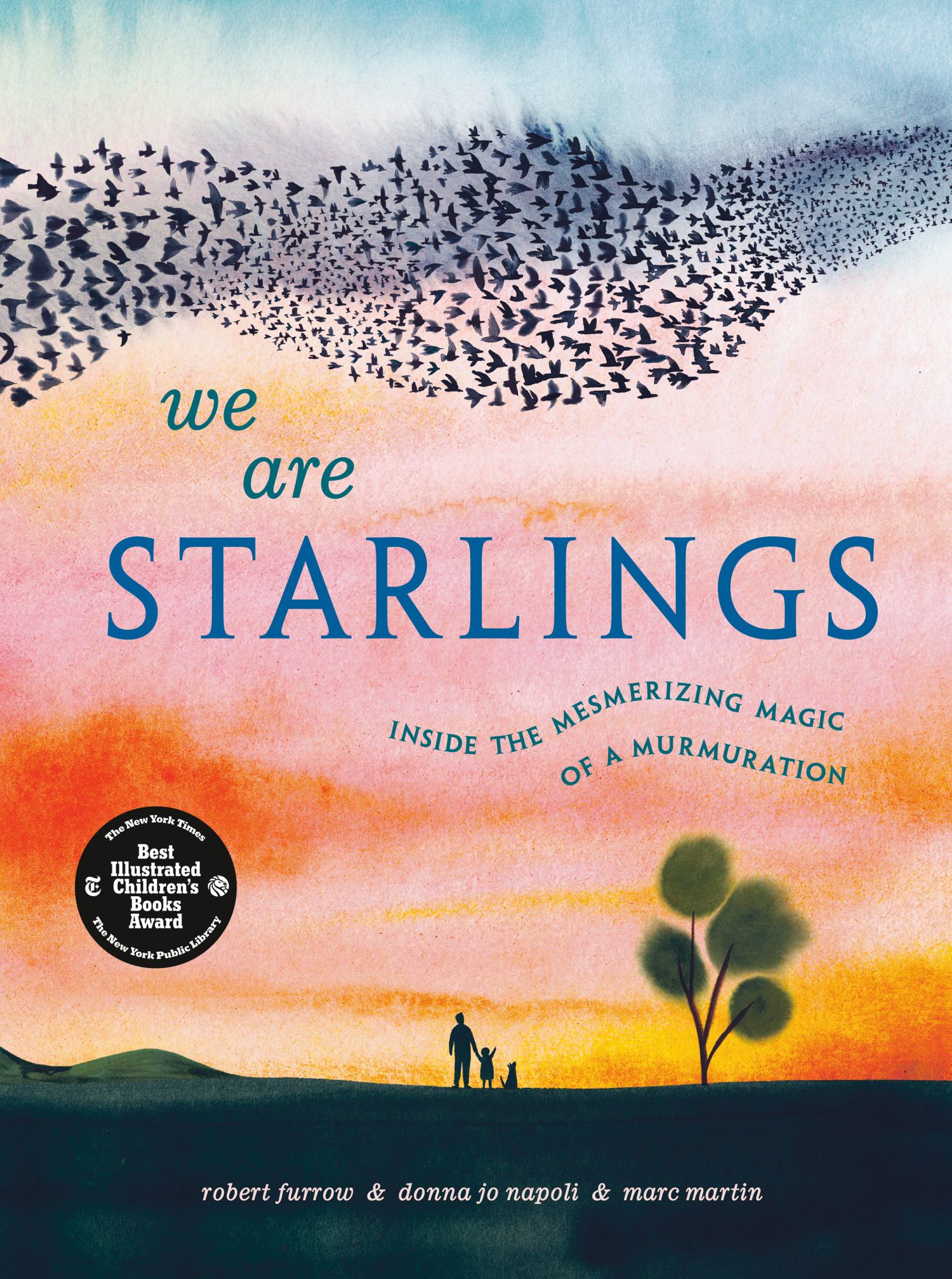 We Are Starlings Cover Image