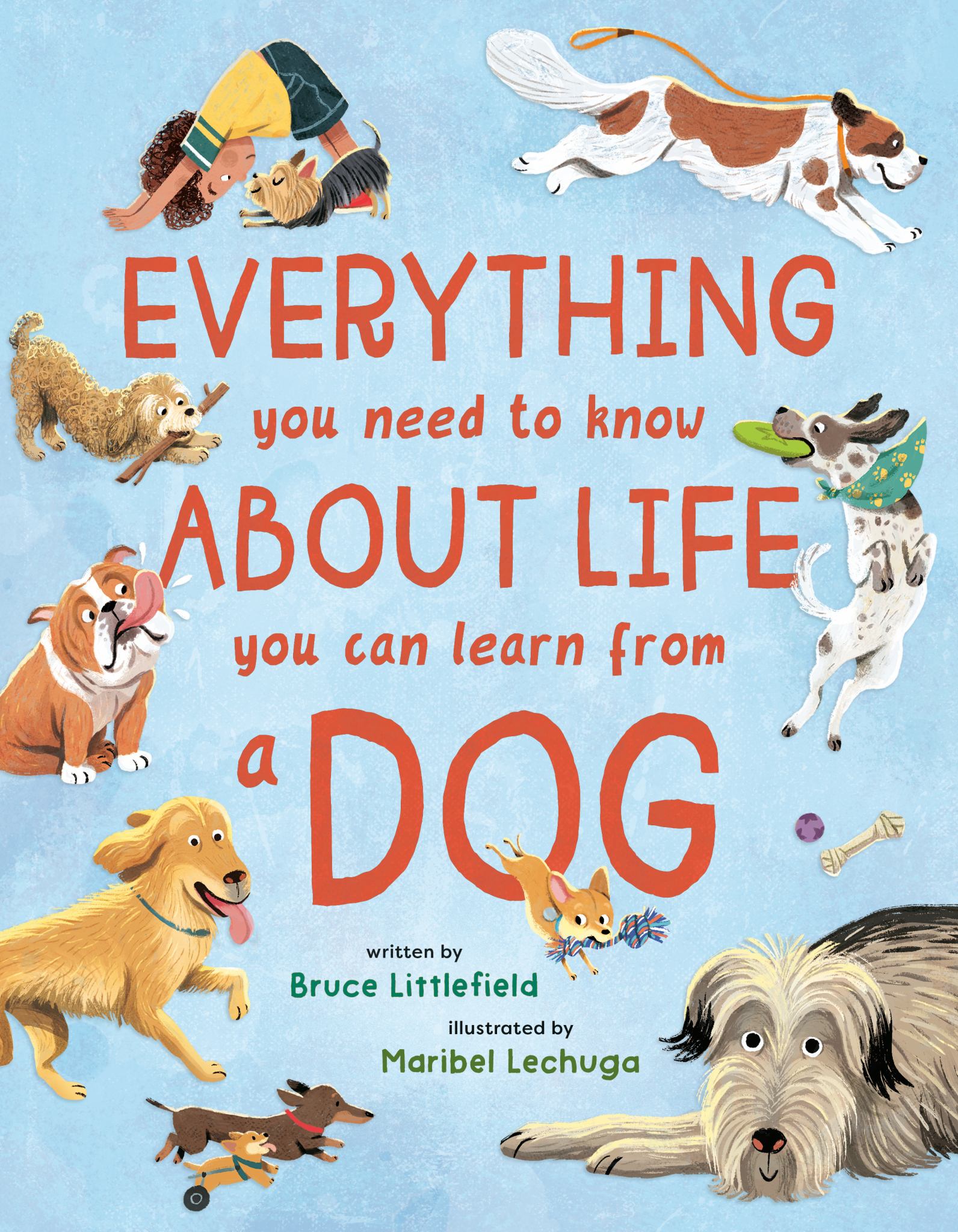 Everything You Need to Know about Life You Can Learn from a Dog Cover Image