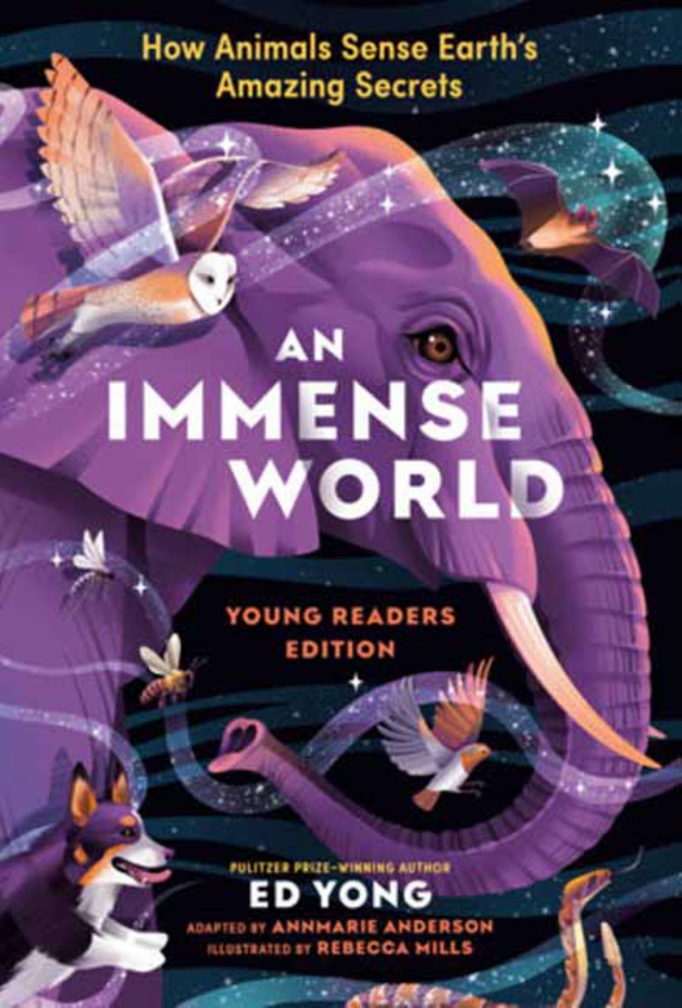 An Immense World (Young Readers Edition) Cover Image
