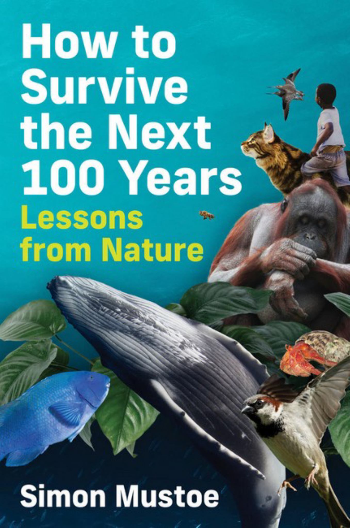 How to Survive the Next 100 Years Cover Image