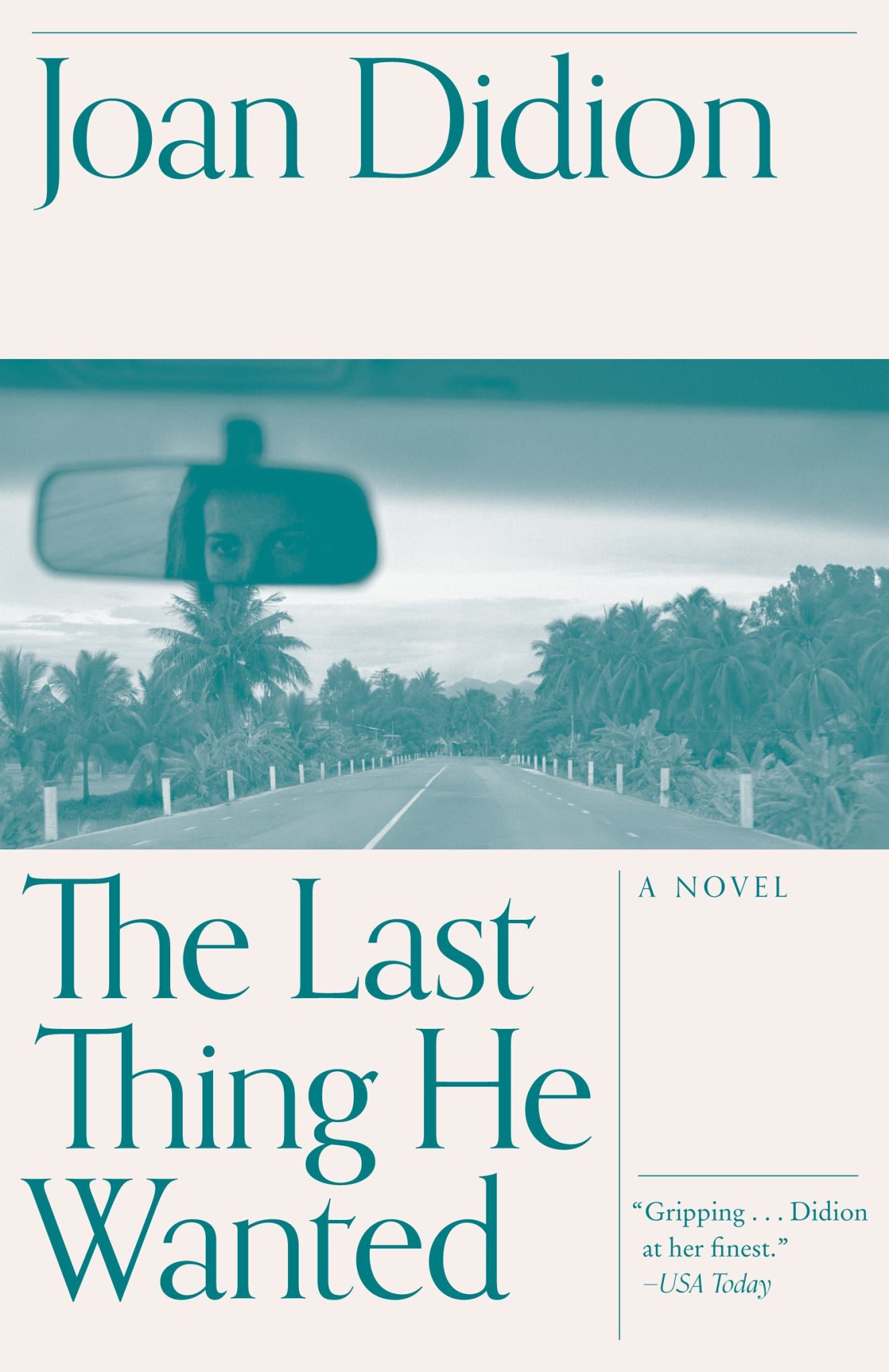 The Last Thing He Wanted Cover Image