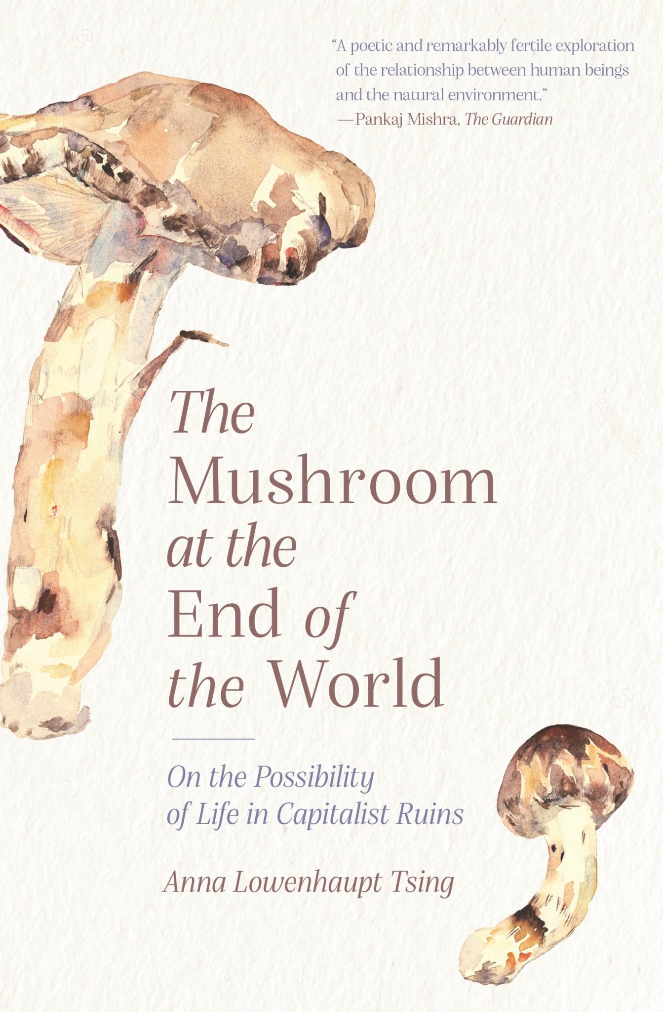 The Mushroom at the End of the World Cover Image