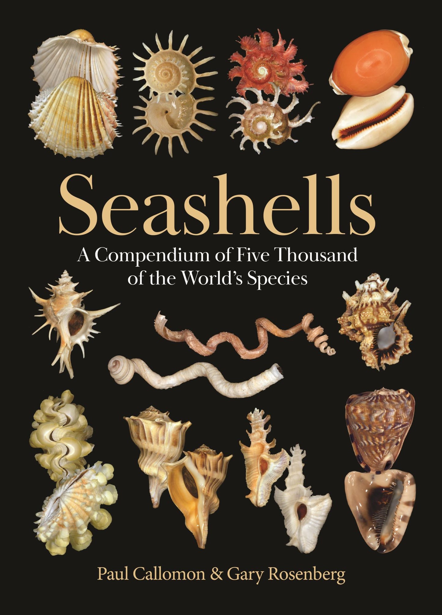 Seashells Cover Image