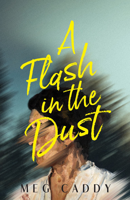 A Flash in the Dust Cover Image