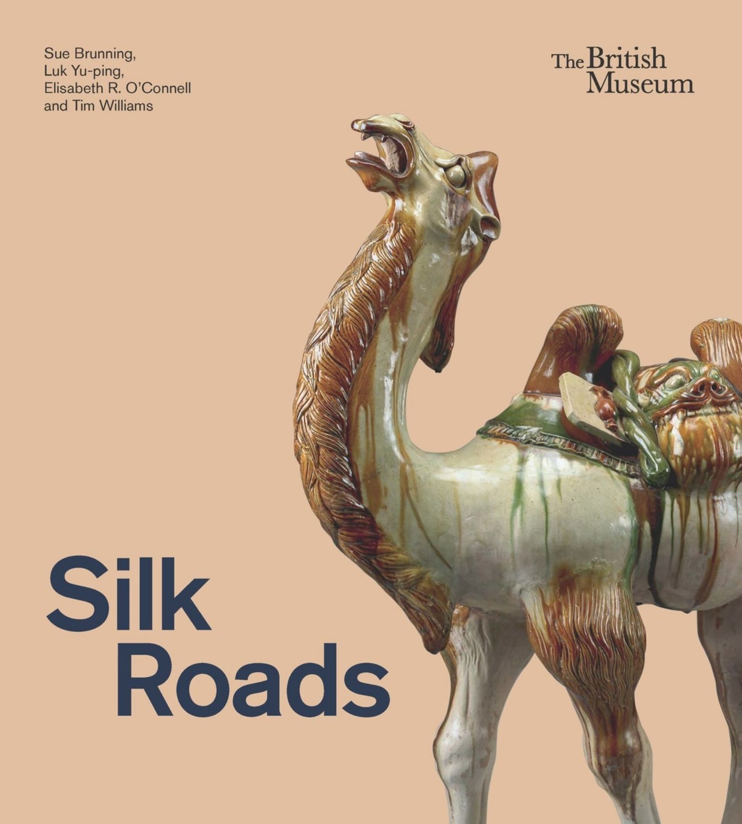 Silk Roads Cover Image