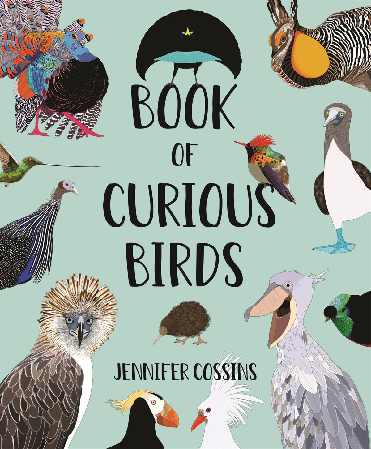 Book of Curious Birds Cover Image