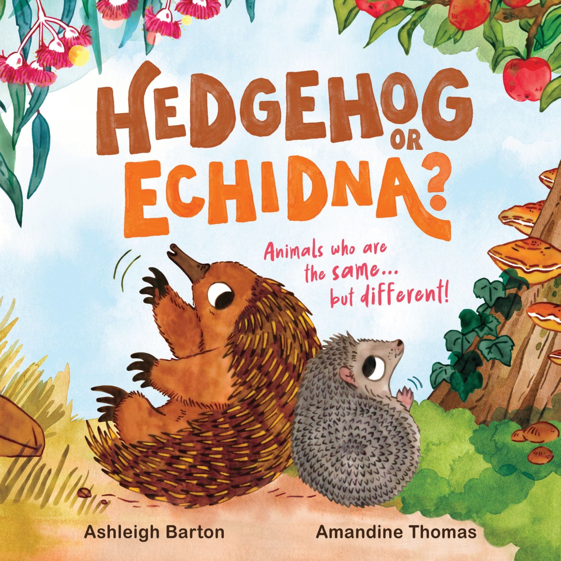 Hedgehog or Echidna? Cover Image