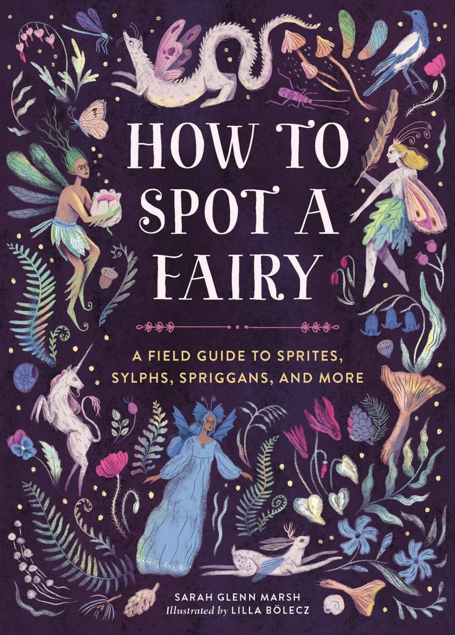 How to Spot a Fairy Cover Image