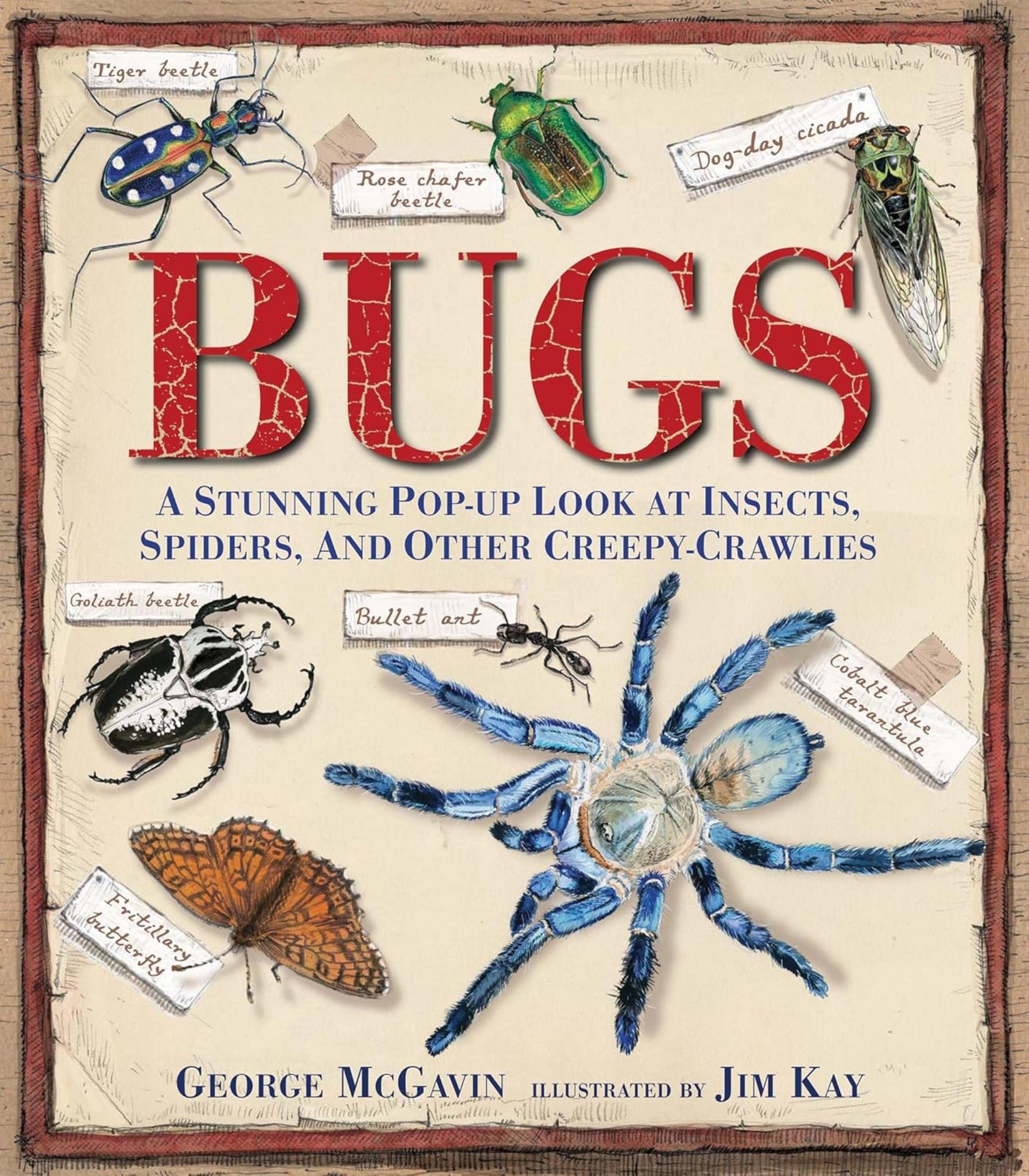 Bugs Cover Image