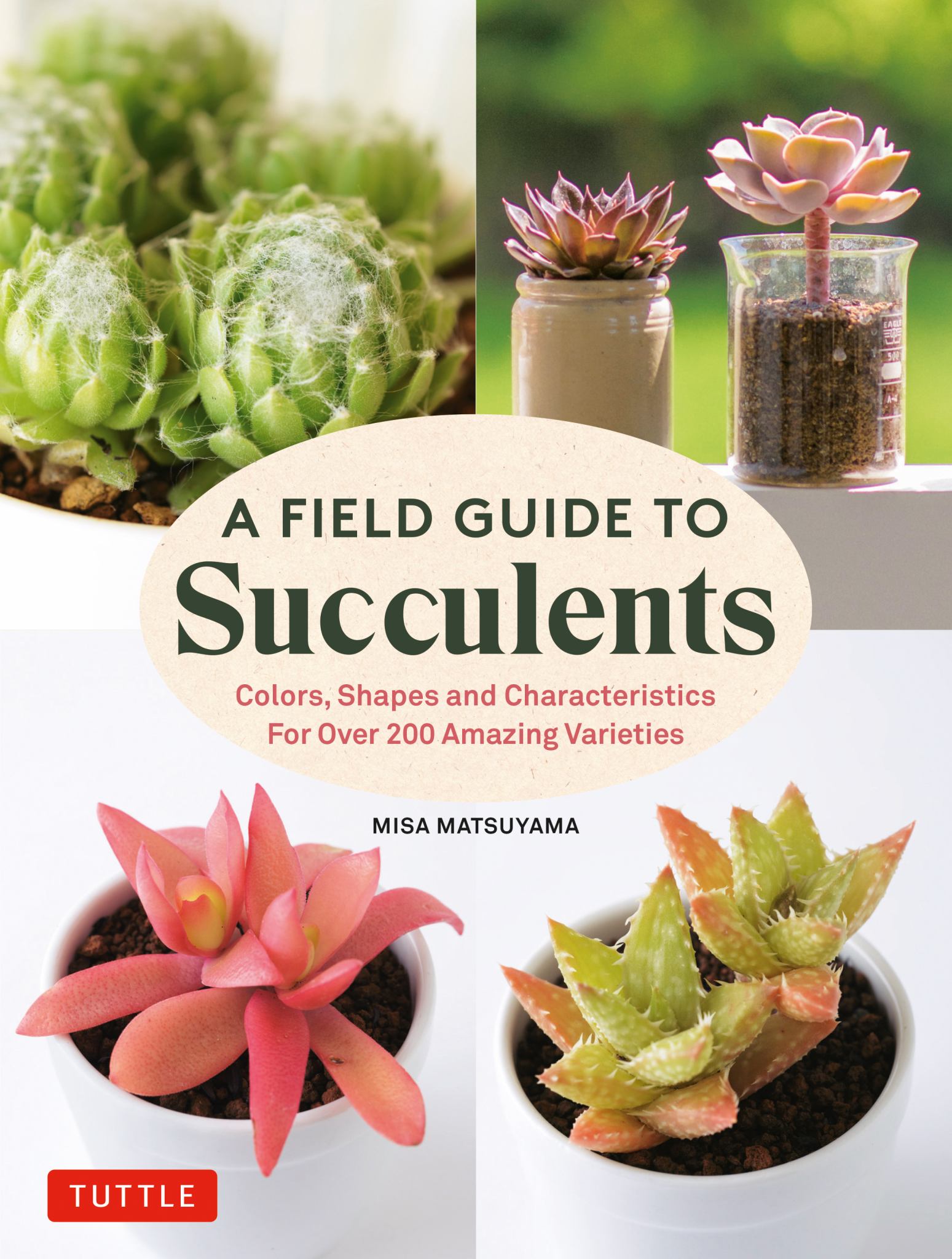 A Field Guide to Succulents Cover Image