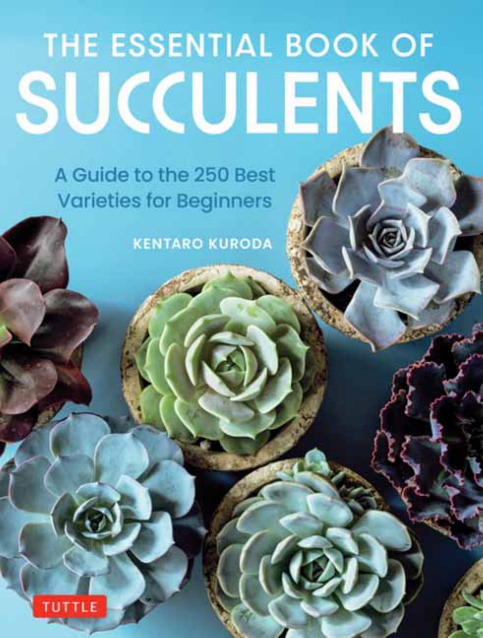 The Essential Book of Succulents Cover Image