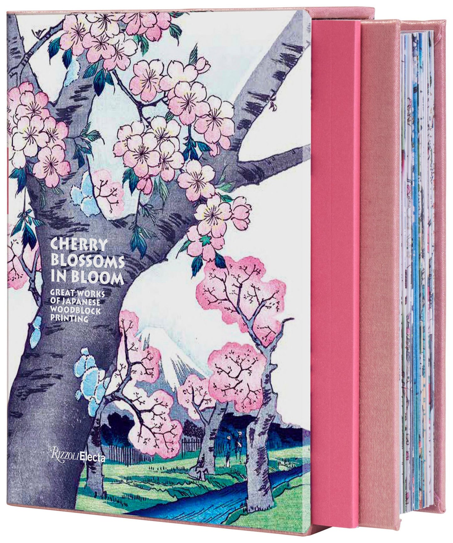 Cherry Blossoms in Bloom Cover Image